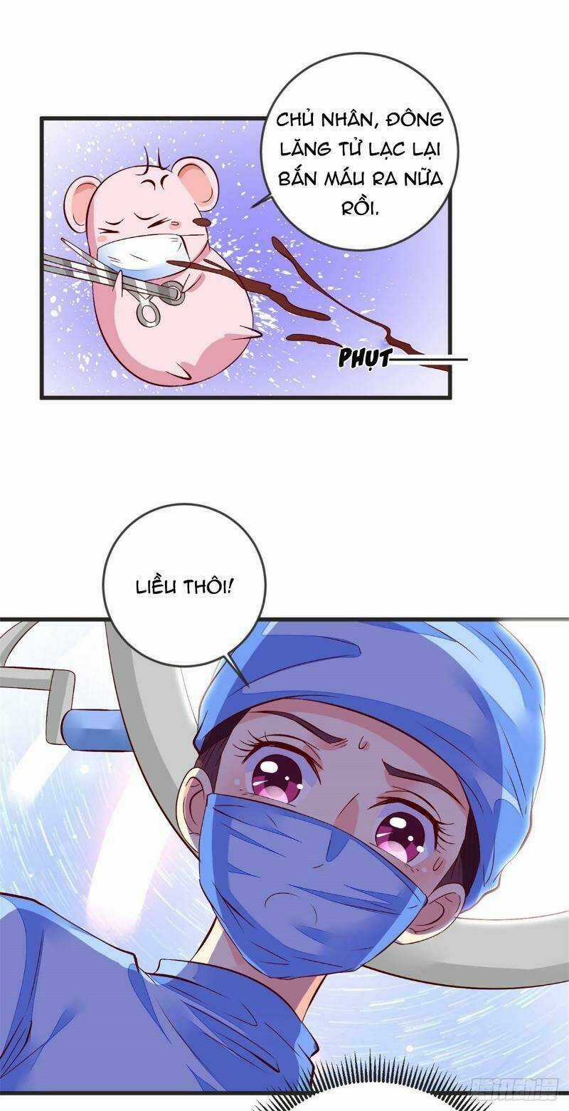 Đế Hoàng Chi Thần Y Khí Phi Chapter 41 trang 25