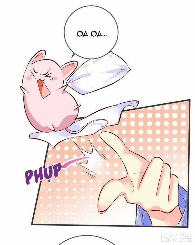 Đế Hoàng Chi Thần Y Khí Phi Chapter 41 trang 8