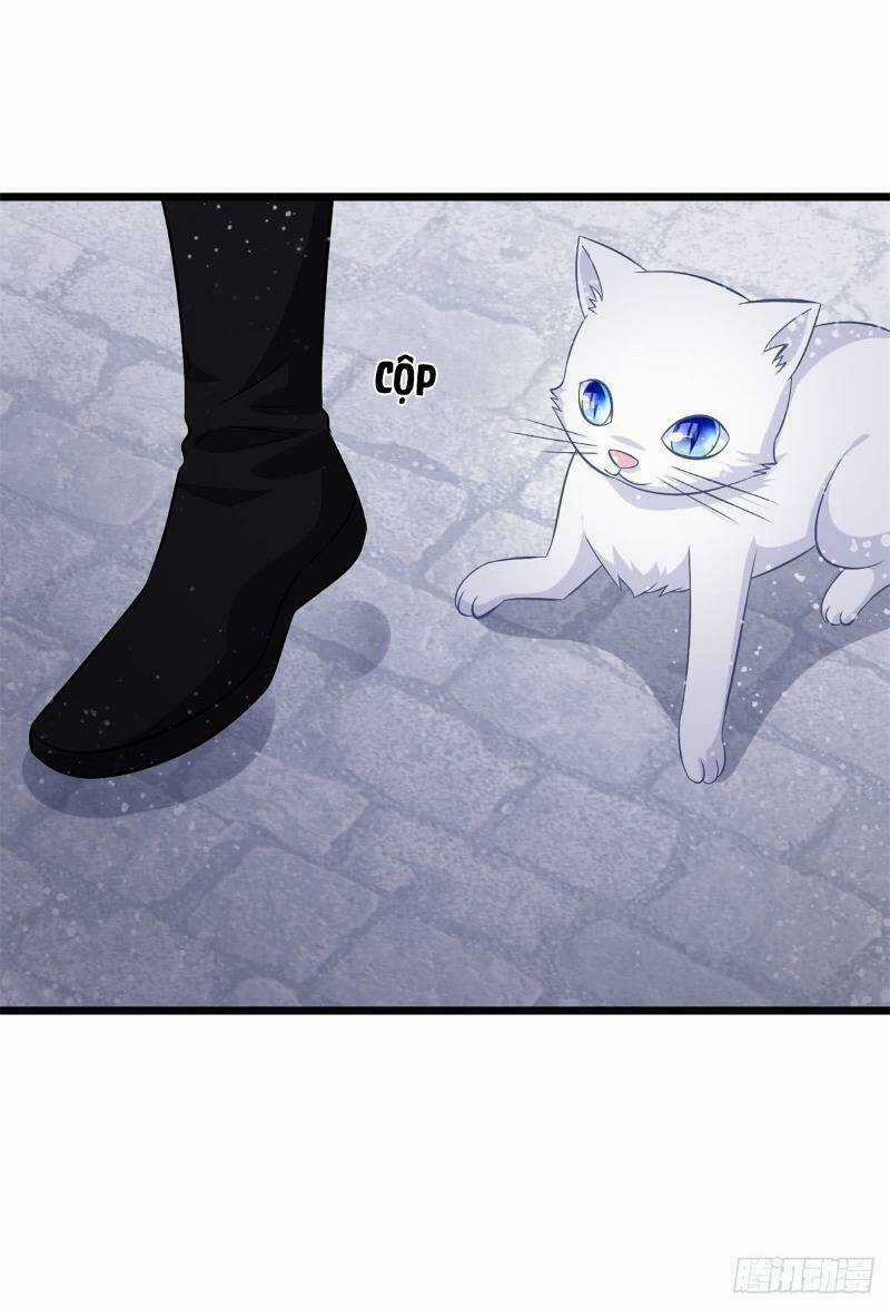 Đế Hoàng Chi Thần Y Khí Phi Chapter 45 trang 18