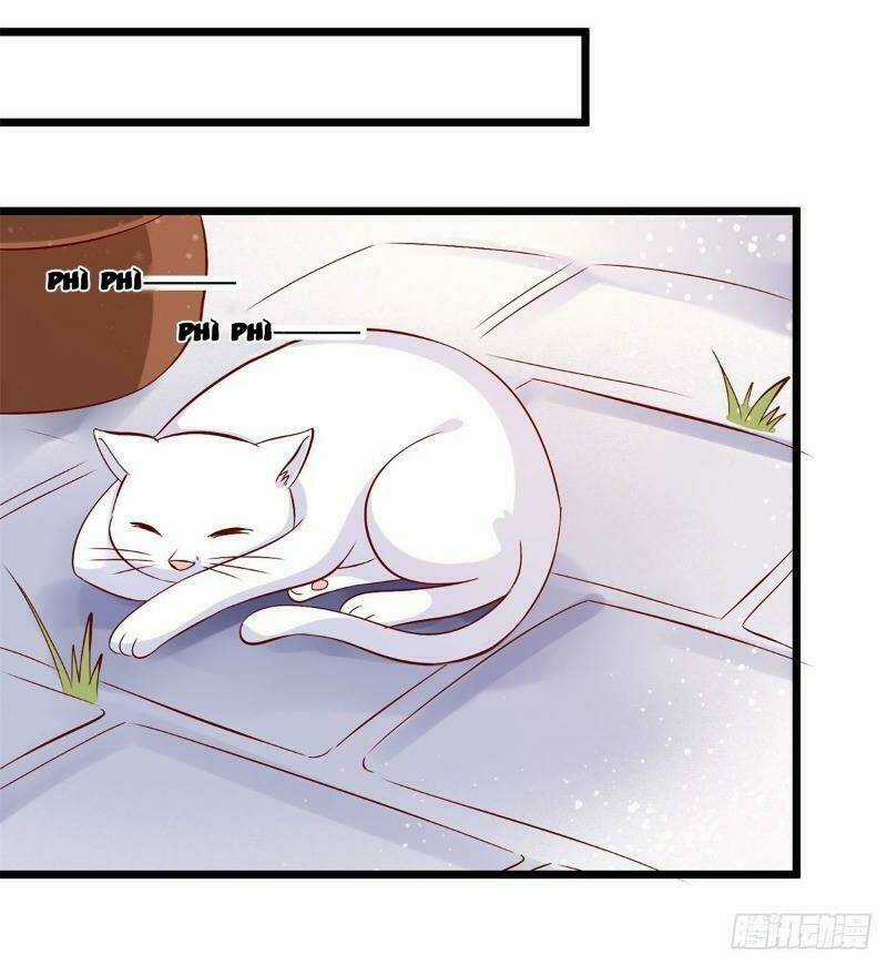 Đế Hoàng Chi Thần Y Khí Phi Chapter 45 trang 36