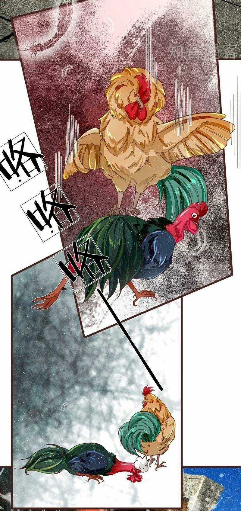 Đệ Nhất Hoàn Khố Chapter 91 trang 13