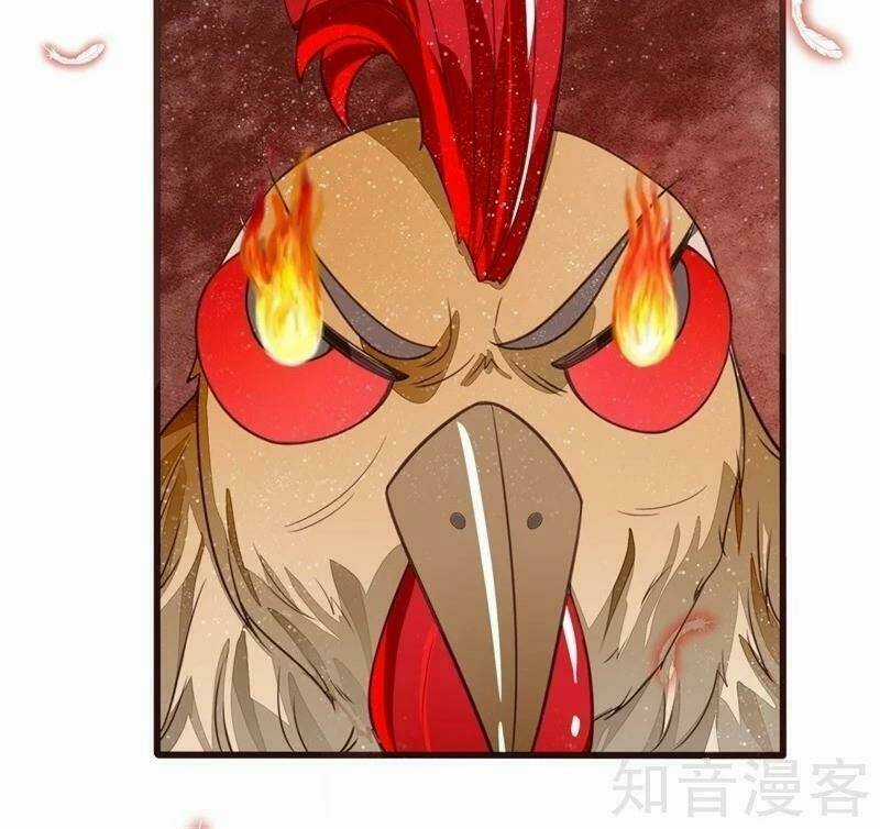 Đệ Nhất Hoàn Khố Chapter 94 trang 11