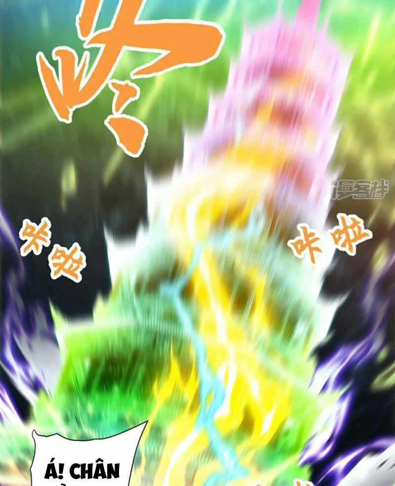 Đệ Nhất Ở Rể Chapter 311 trang 31