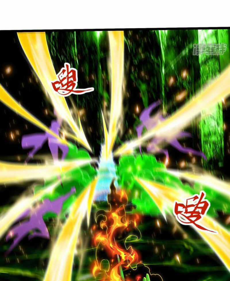 Đệ Nhất Ở Rể Chapter 312 trang 8