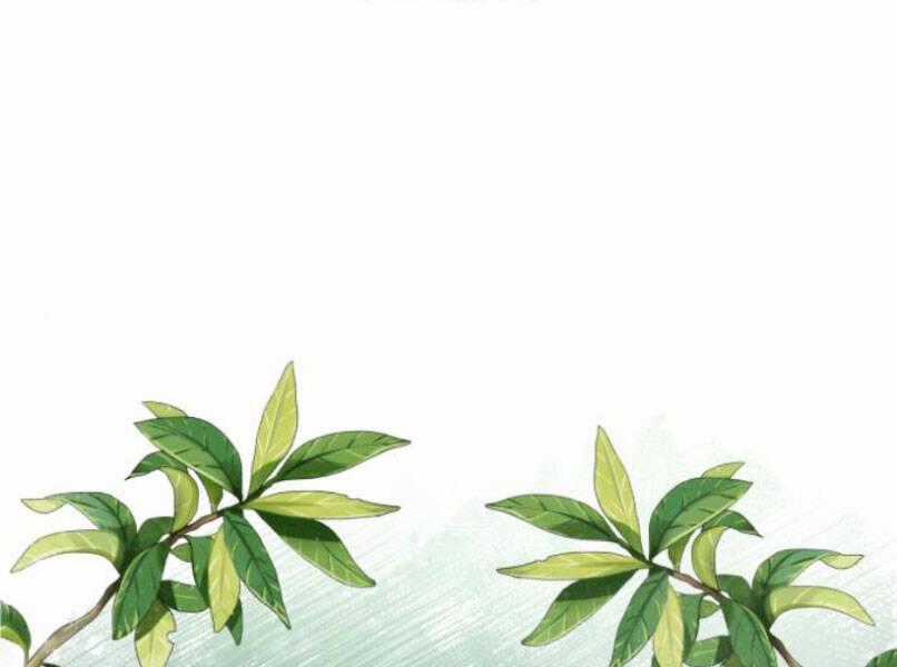 Đệ Nhất Võ Sư, Baek Cao Thủ Chương 16 trang 1