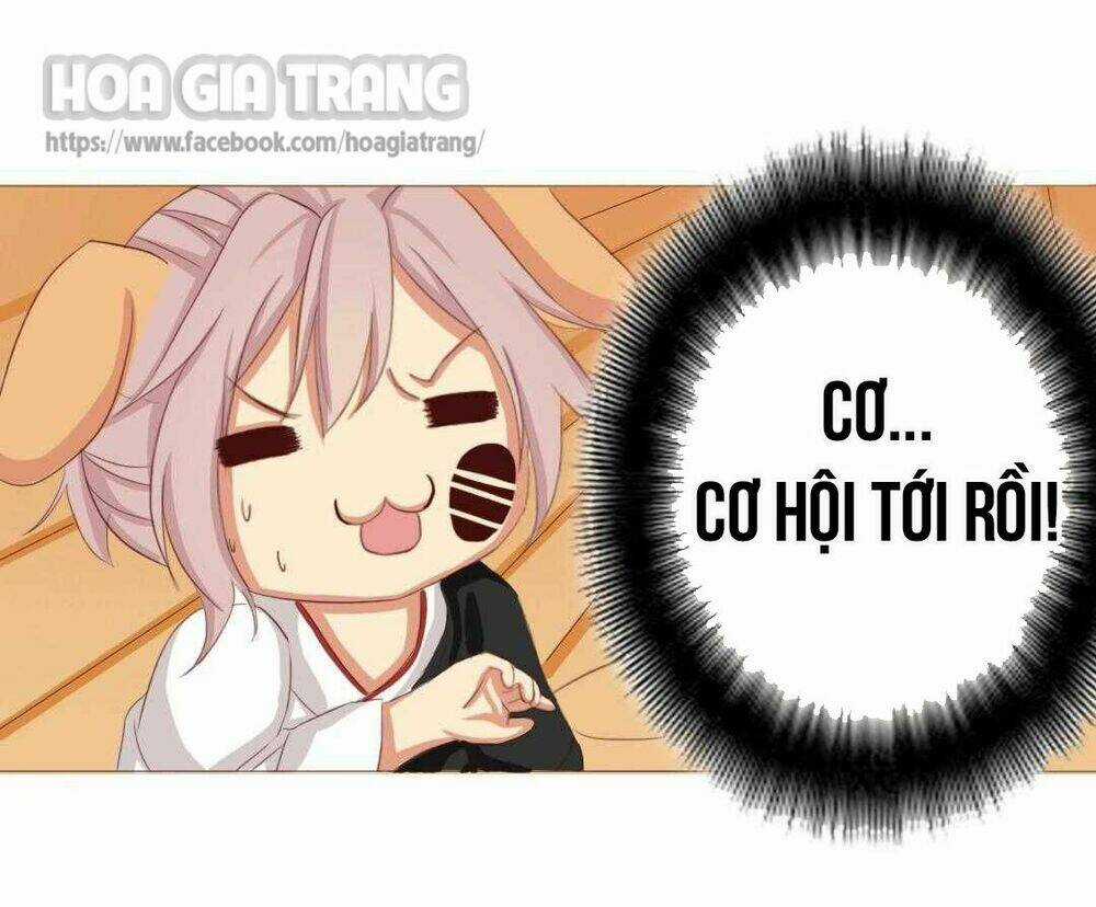 Đế Quân Không Biết Yêu Chapter 4 trang 15