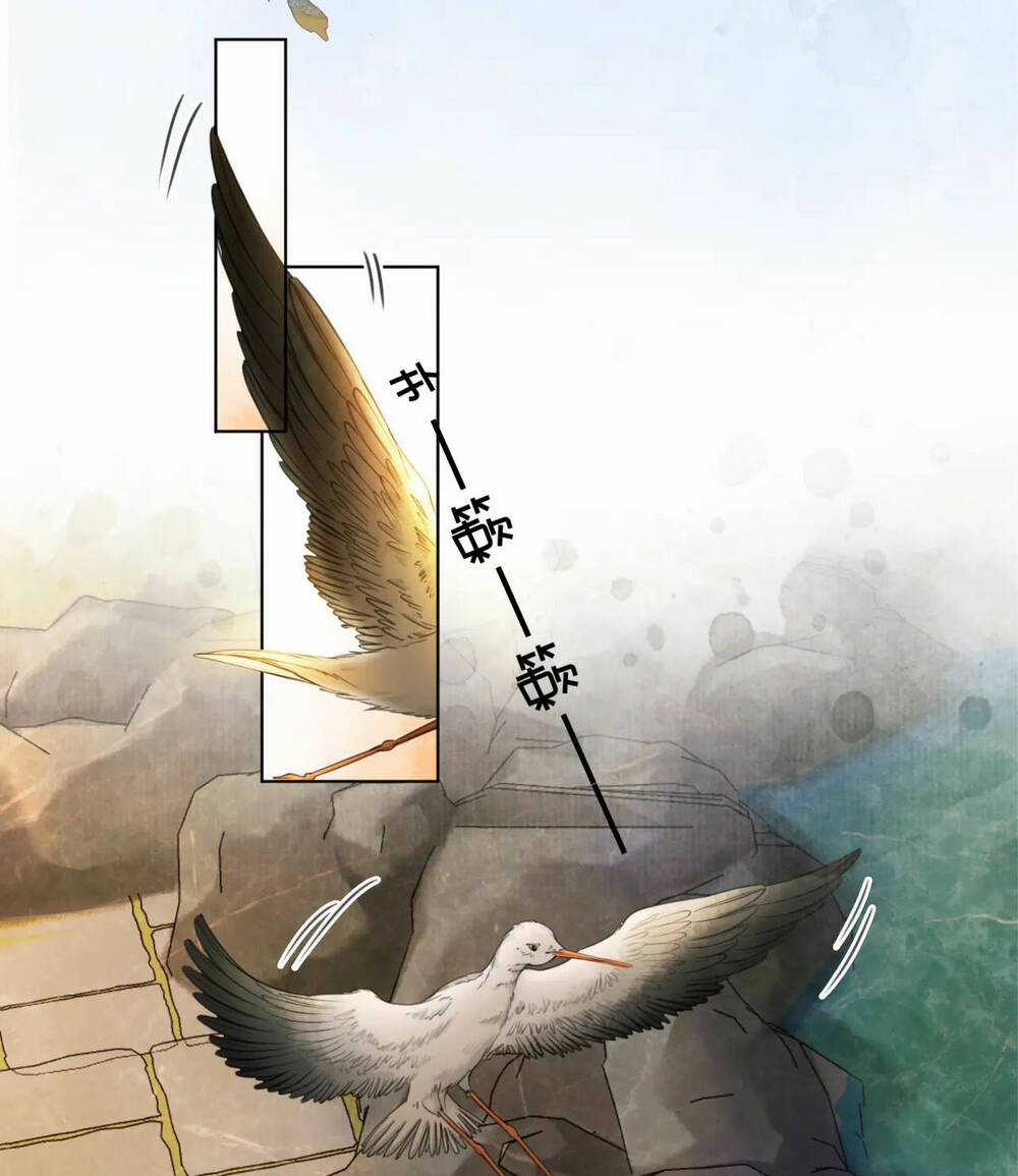 Để Ta Làm Ánh Trăng Đen Của Hôn Quân Chapter 18 trang 11