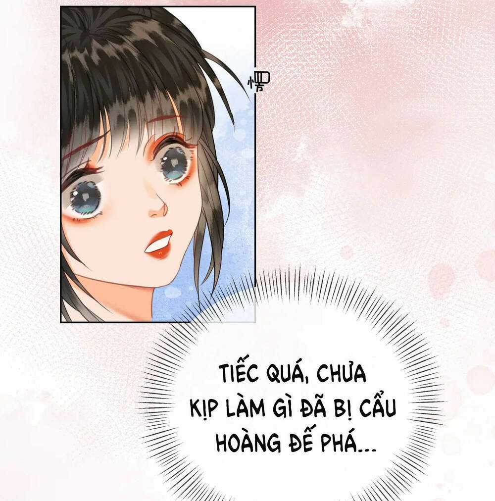 Để Ta Làm Ánh Trăng Đen Của Hôn Quân Chapter 19 trang 32