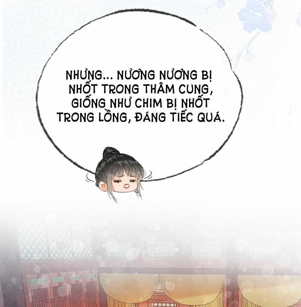 Để Ta Làm Ánh Trăng Đen Của Hôn Quân Chapter 22 trang 26