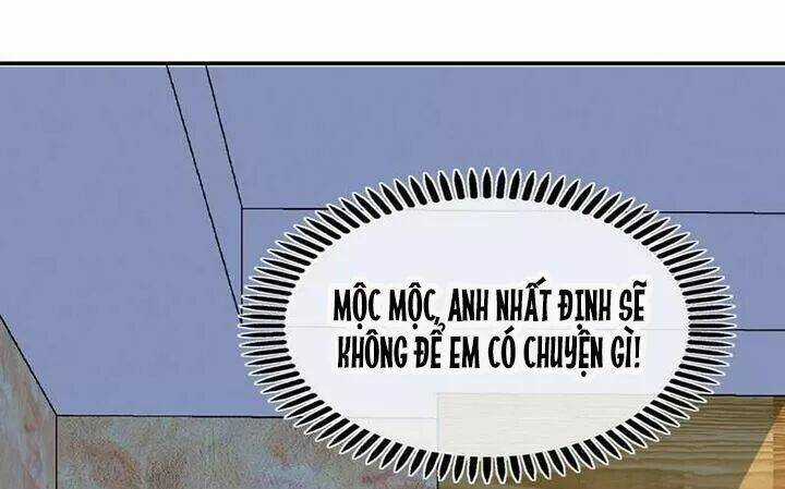 Đế Thiếu Chuyên Sủng Hắc Đạo Thê Chapter 182 trang 7