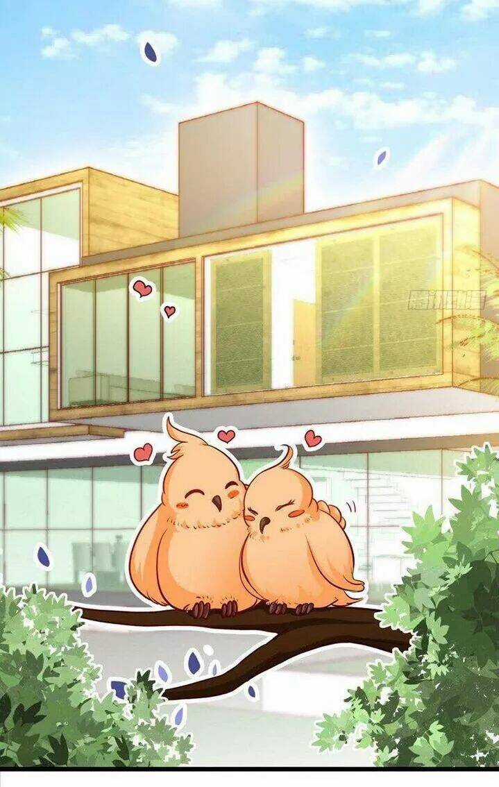 Đế Thiếu Chuyên Sủng Hắc Đạo Thê Chapter 206 trang 21