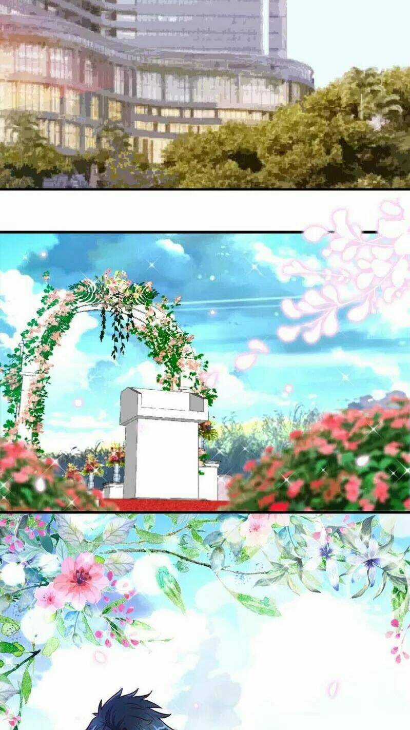 Đế Thiếu Chuyên Sủng Hắc Đạo Thê Chapter 256 trang 1