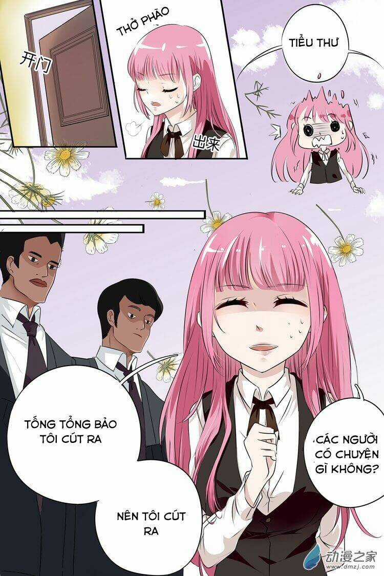 Đế Thiếu Đừng Mạnh Quá Chapter 1 trang 14