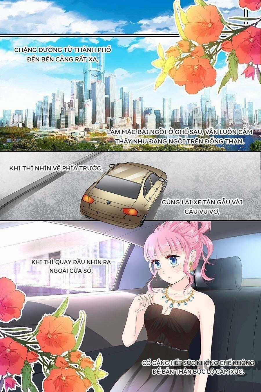 Đế Thiếu Đừng Mạnh Quá Chapter 100 trang 0