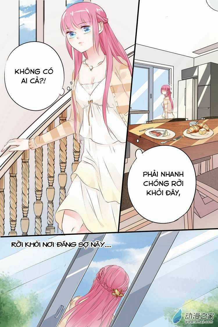 Đế Thiếu Đừng Mạnh Quá Chapter 11 trang 7