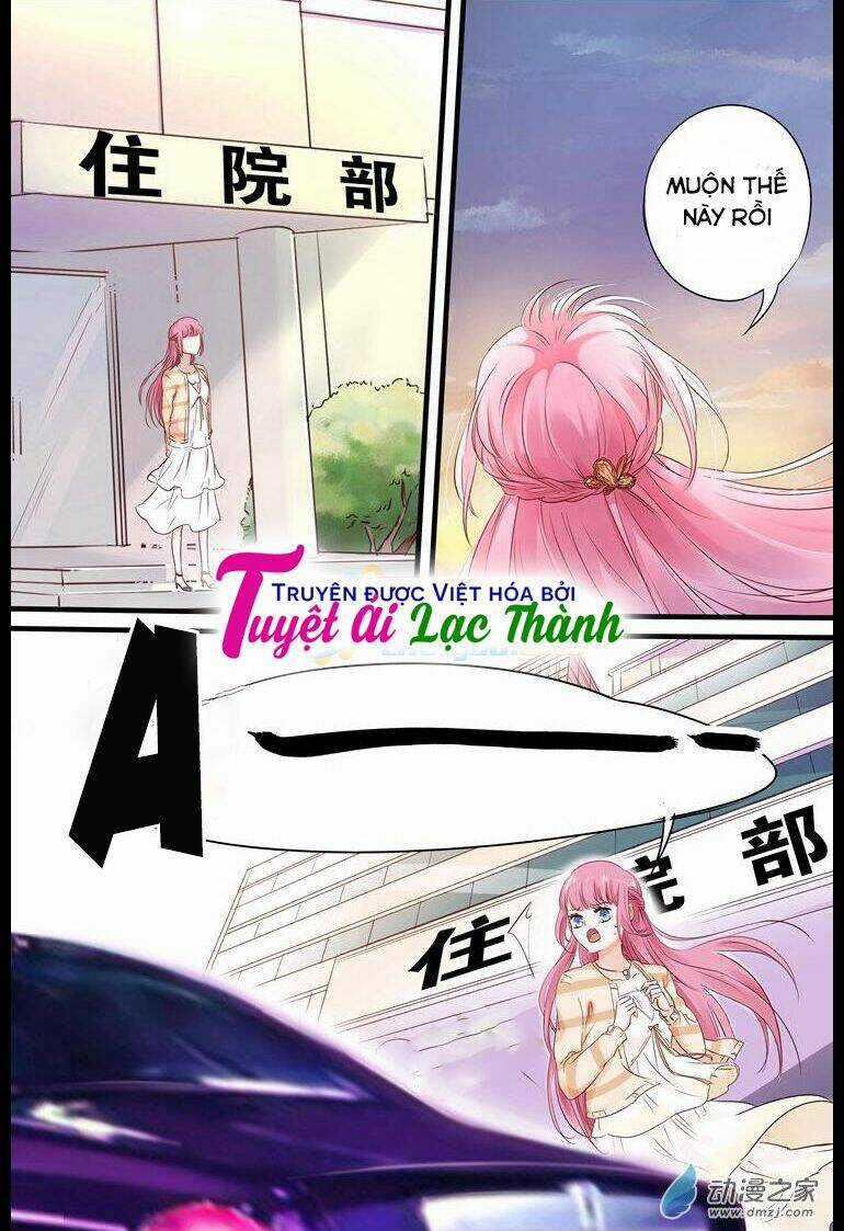 Đế Thiếu Đừng Mạnh Quá Chapter 12 trang 4