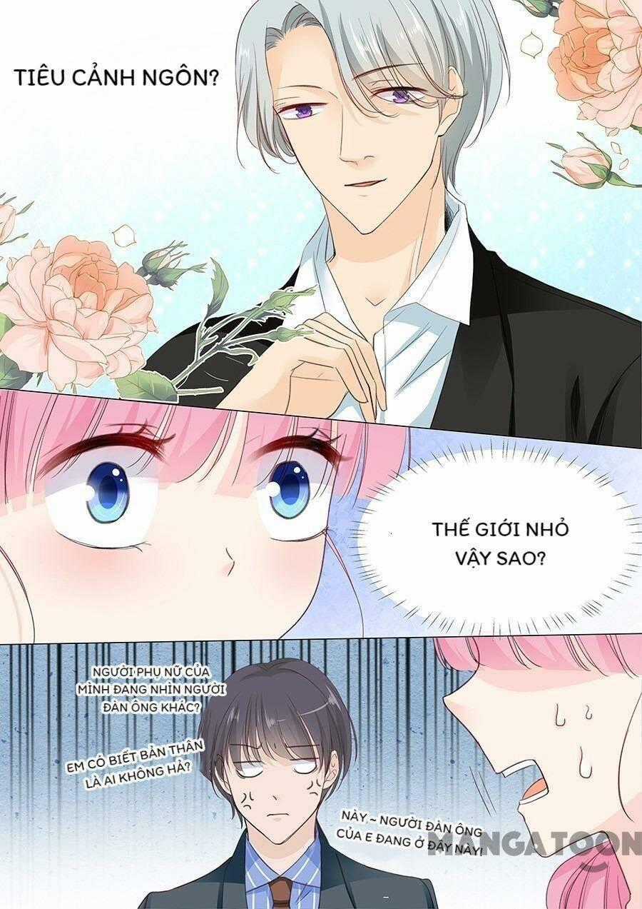 Đế Thiếu Đừng Mạnh Quá Chapter 145 trang 1