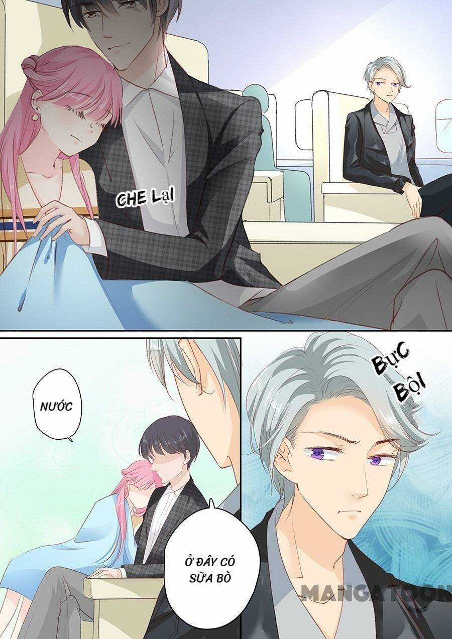 Đế Thiếu Đừng Mạnh Quá Chapter 155 trang 5