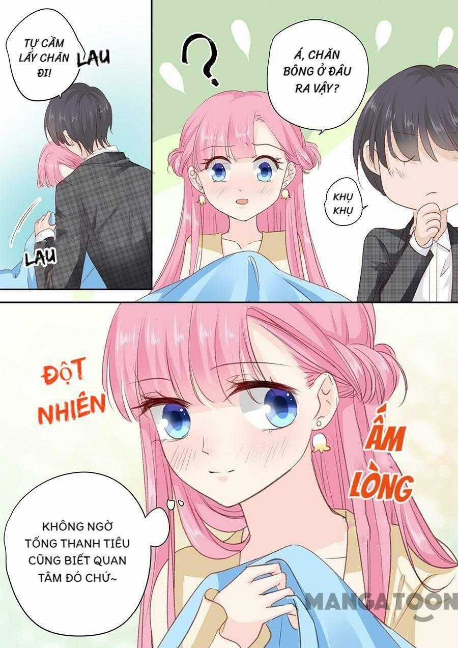 Đế Thiếu Đừng Mạnh Quá Chapter 156 trang 0