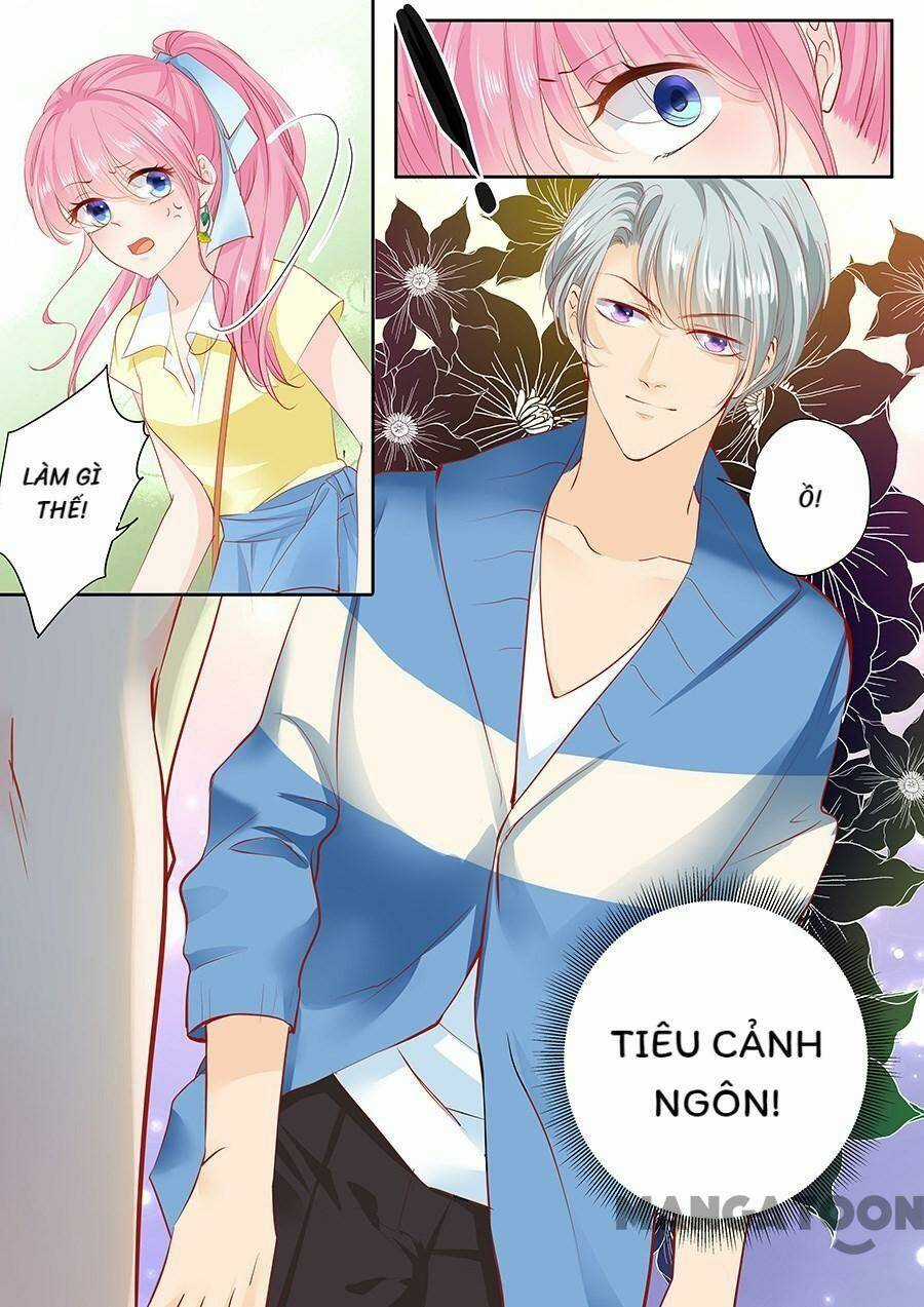 Đế Thiếu Đừng Mạnh Quá Chapter 162 trang 5