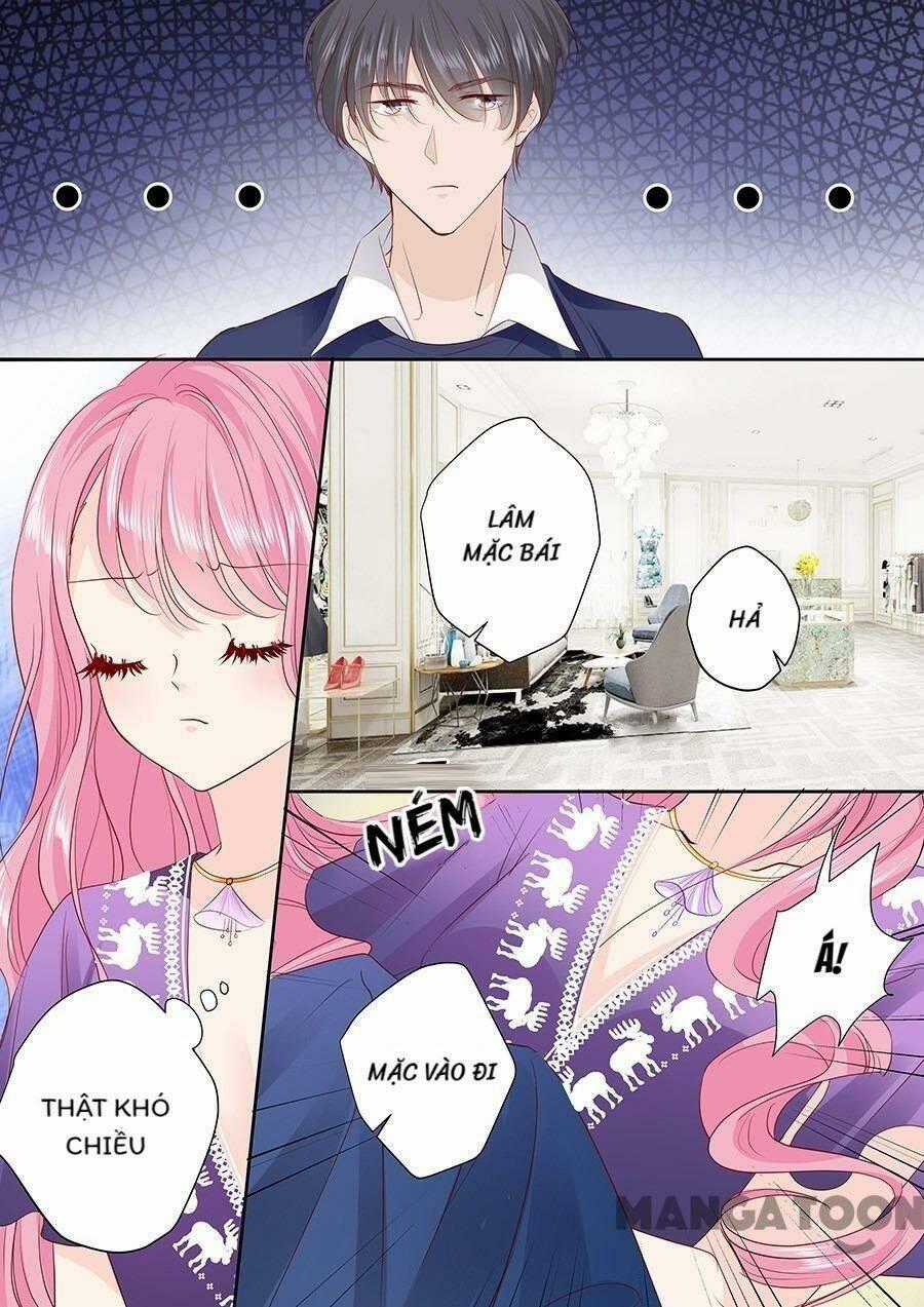 Đế Thiếu Đừng Mạnh Quá Chapter 167 trang 7