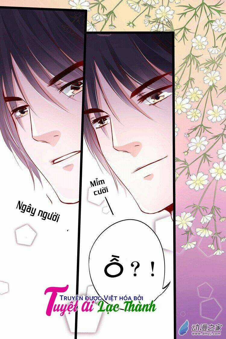 Đế Thiếu Đừng Mạnh Quá Chapter 19 trang 4