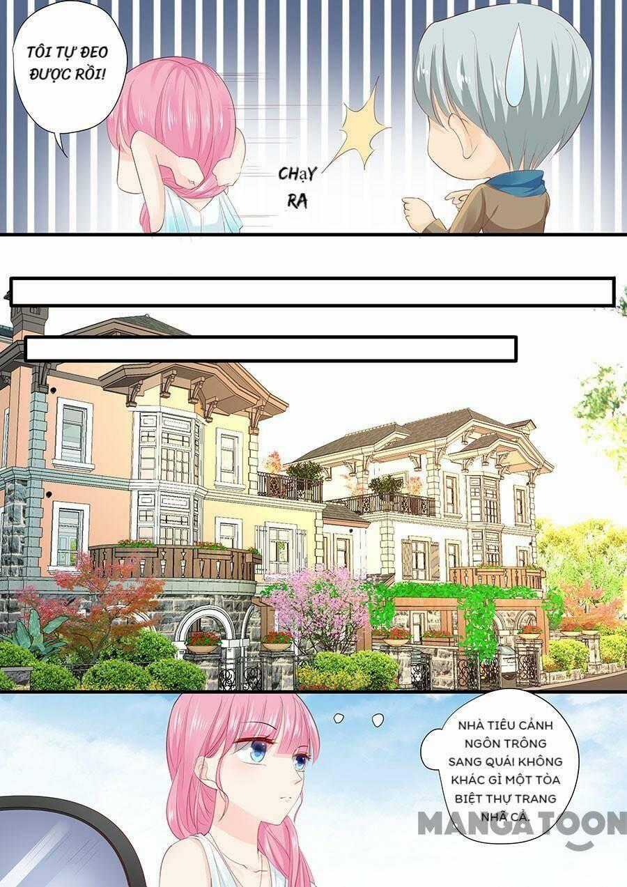 Đế Thiếu Đừng Mạnh Quá Chapter 212 trang 7