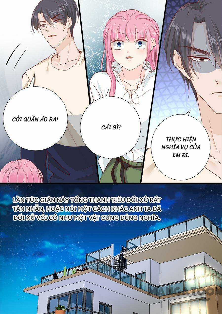 Đế Thiếu Đừng Mạnh Quá Chapter 246 trang 4