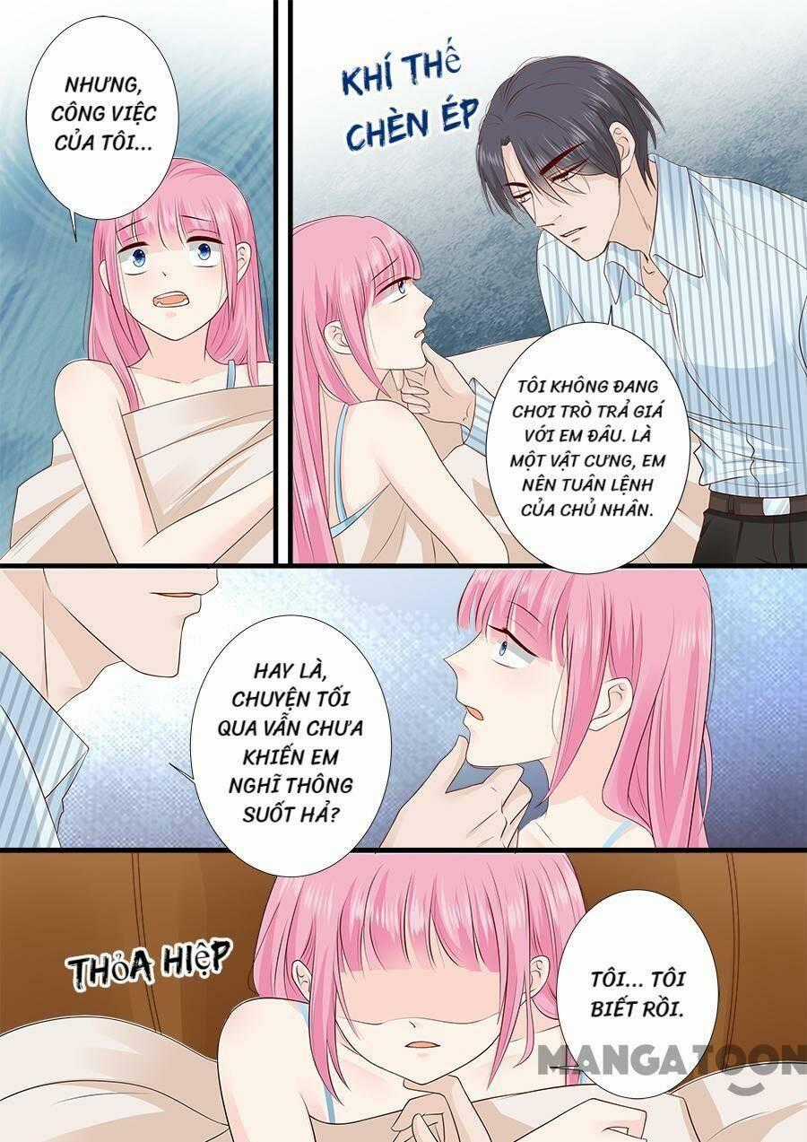 Đế Thiếu Đừng Mạnh Quá Chapter 246 trang 7