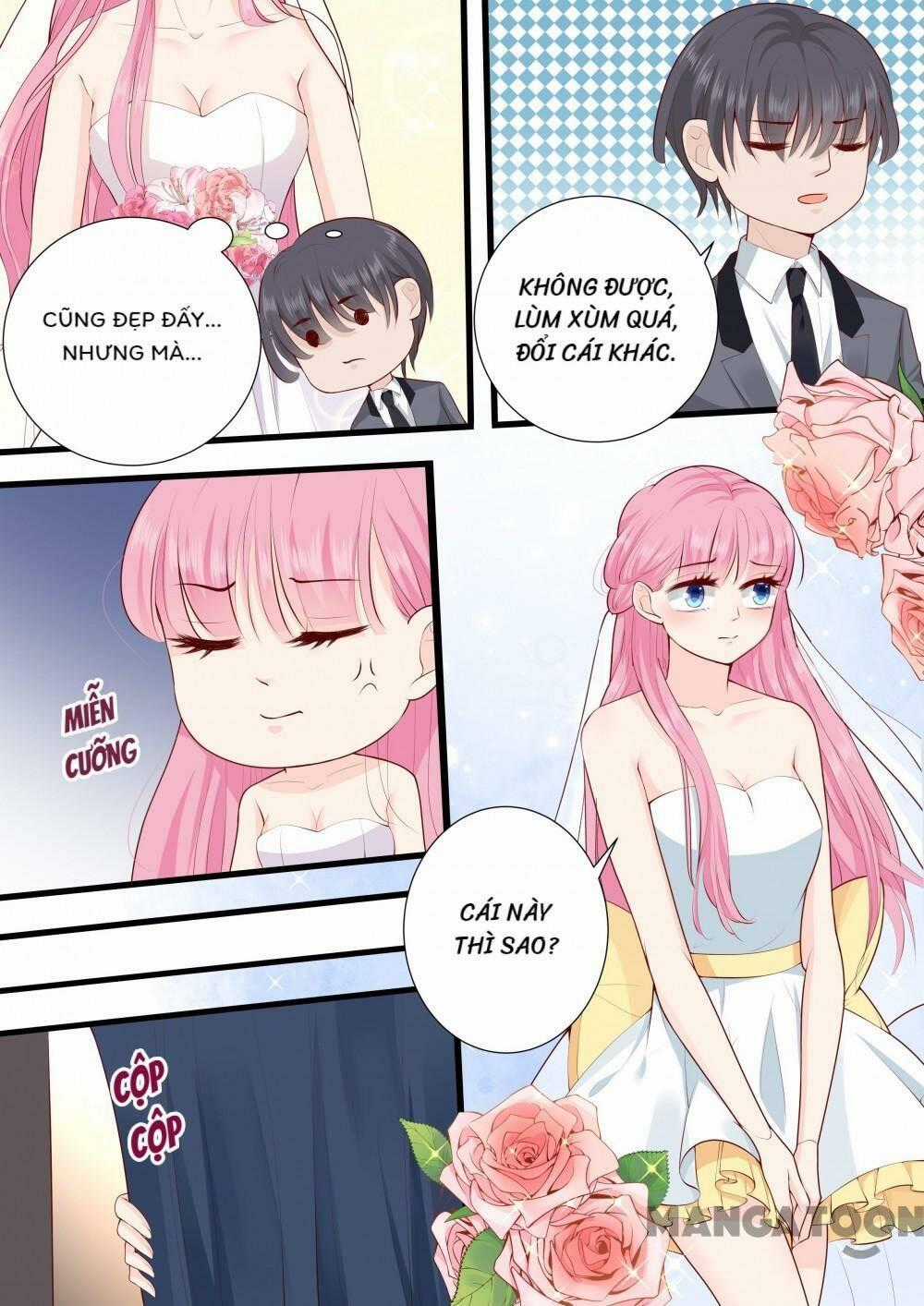 Đế Thiếu Đừng Mạnh Quá Chapter 270 trang 7