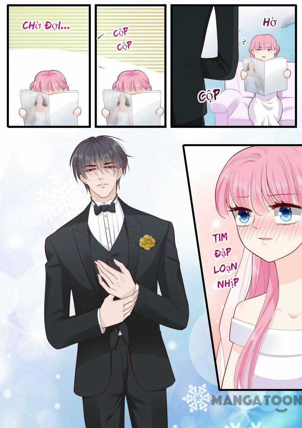 Đế Thiếu Đừng Mạnh Quá Chapter 271 trang 6