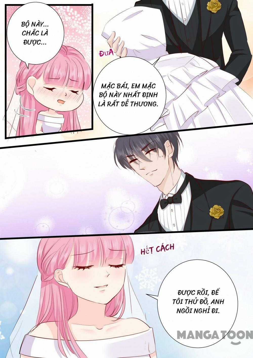 Đế Thiếu Đừng Mạnh Quá Chapter 271 trang 7