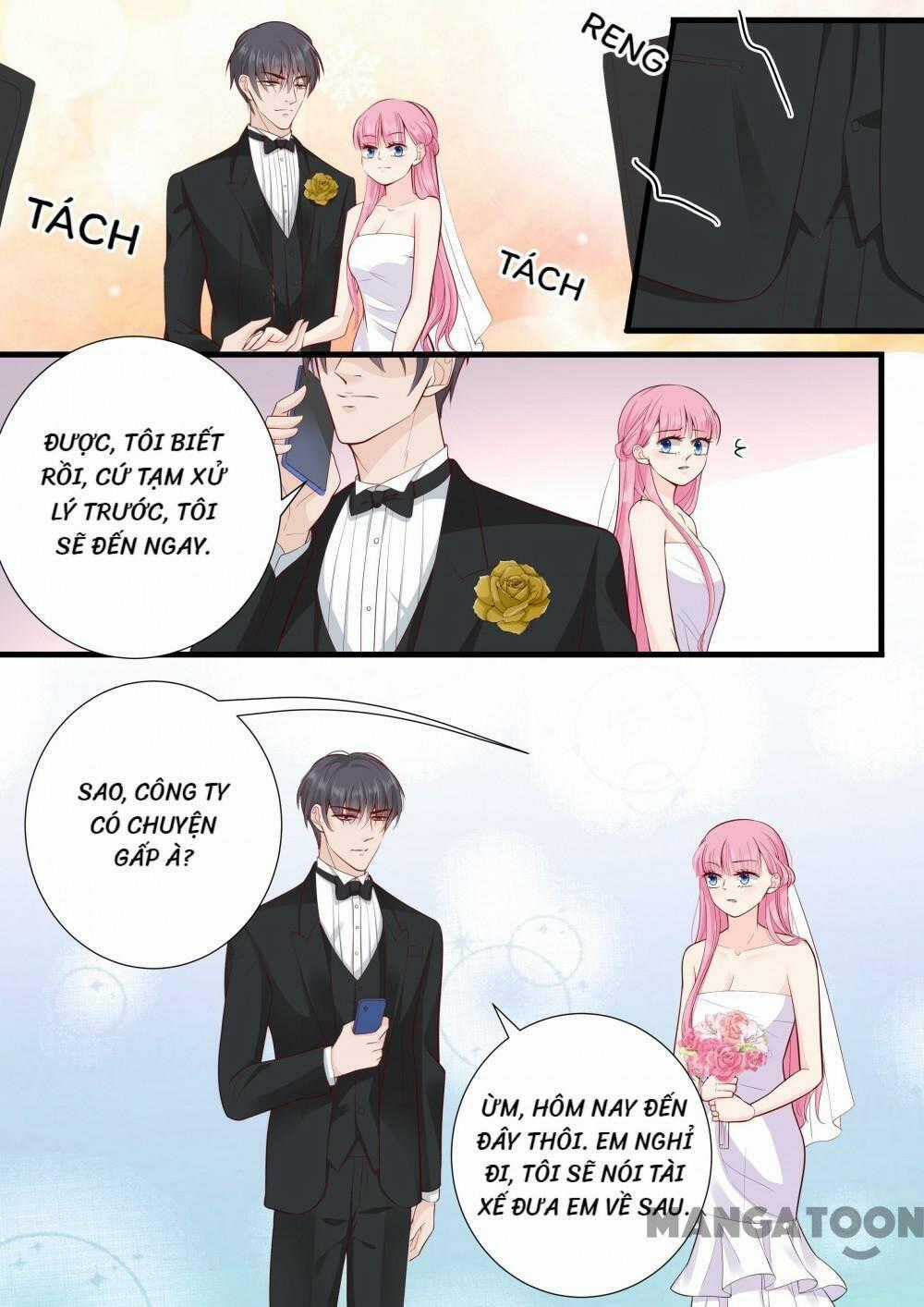 Đế Thiếu Đừng Mạnh Quá Chapter 272 trang 1