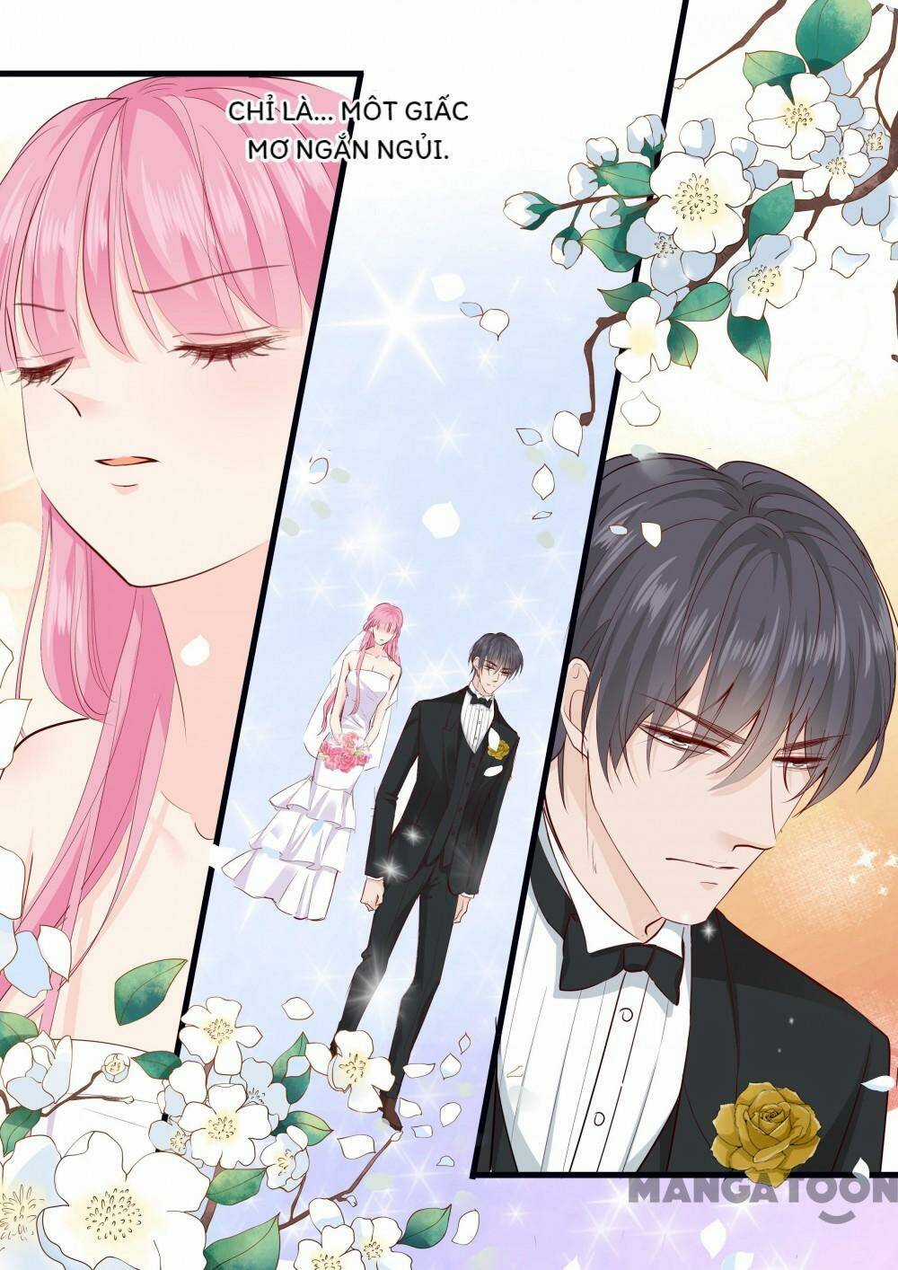 Đế Thiếu Đừng Mạnh Quá Chapter 272 trang 2