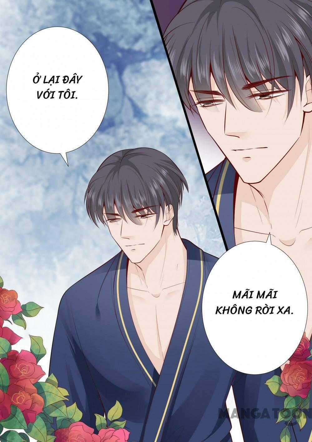 Đế Thiếu Đừng Mạnh Quá Chapter 274 trang 7