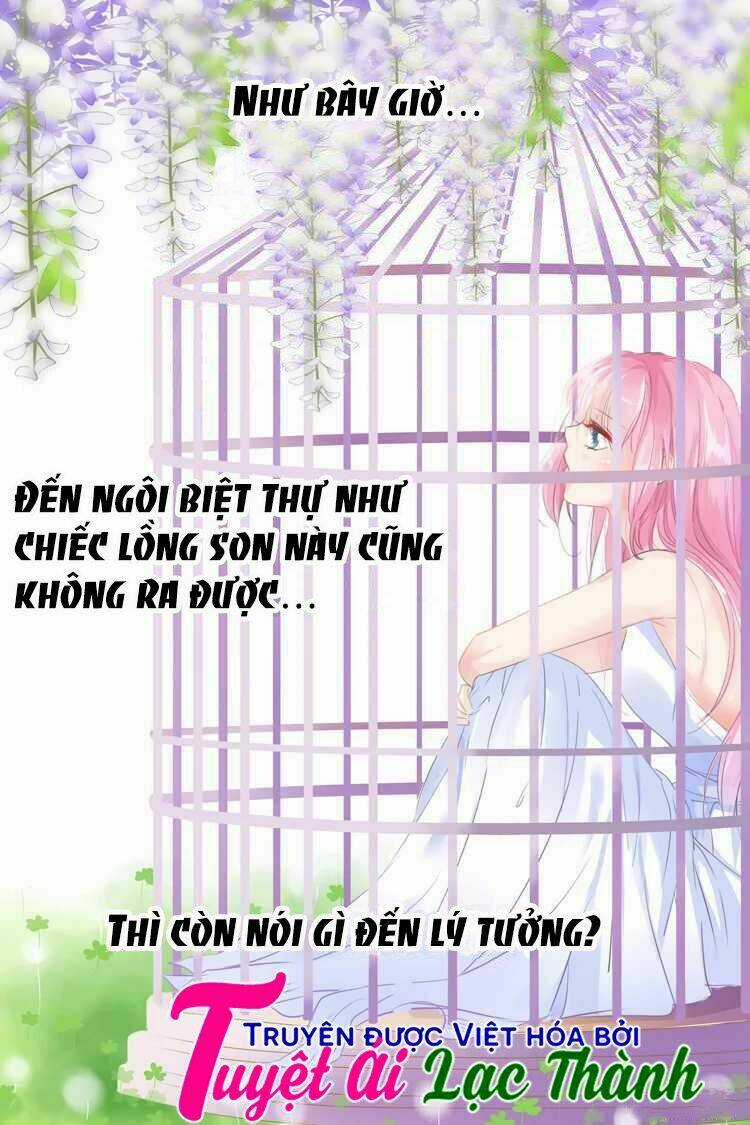 Đế Thiếu Đừng Mạnh Quá Chapter 29 trang 7