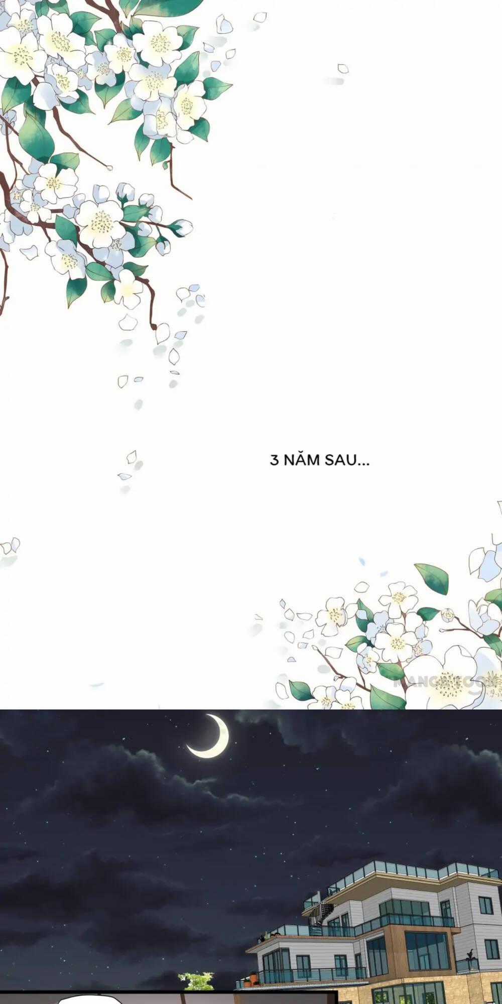Đế Thiếu Đừng Mạnh Quá Chapter 334 trang 0