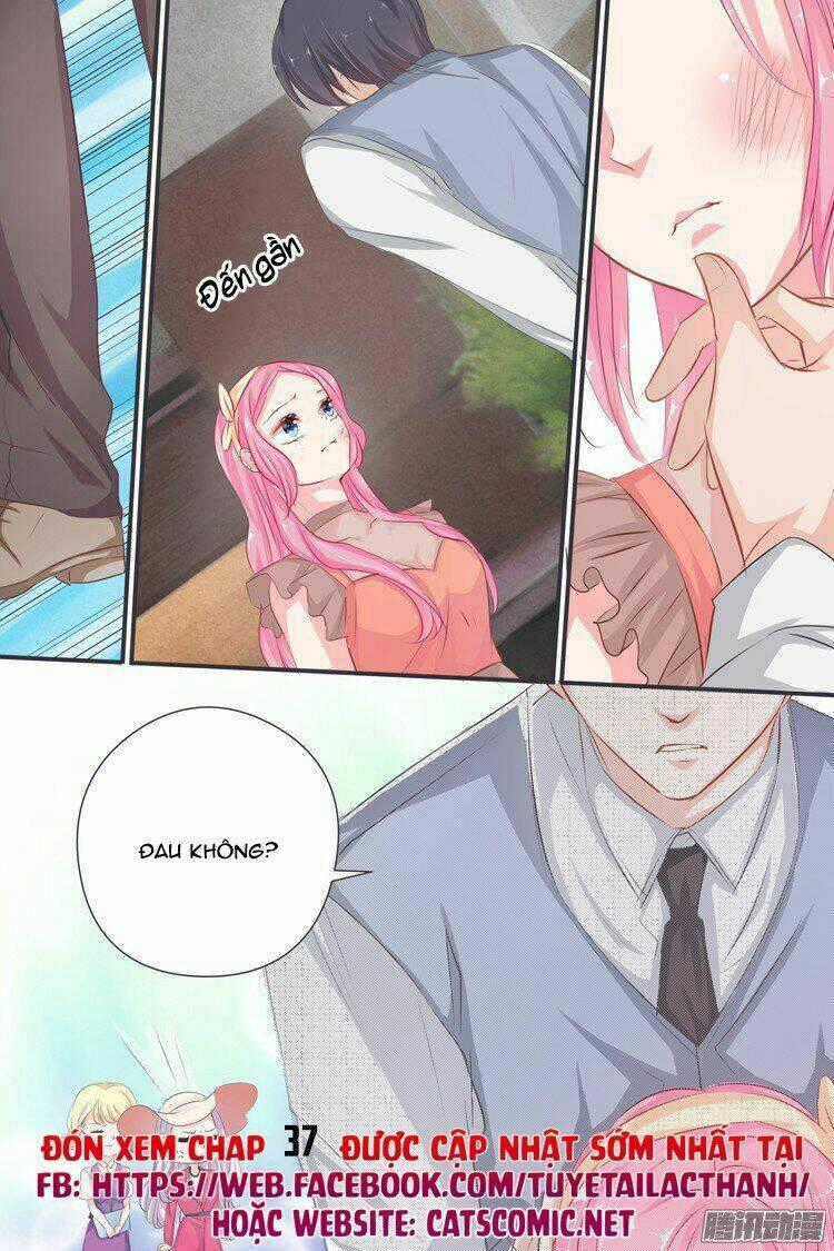 Đế Thiếu Đừng Mạnh Quá Chapter 36 trang 8