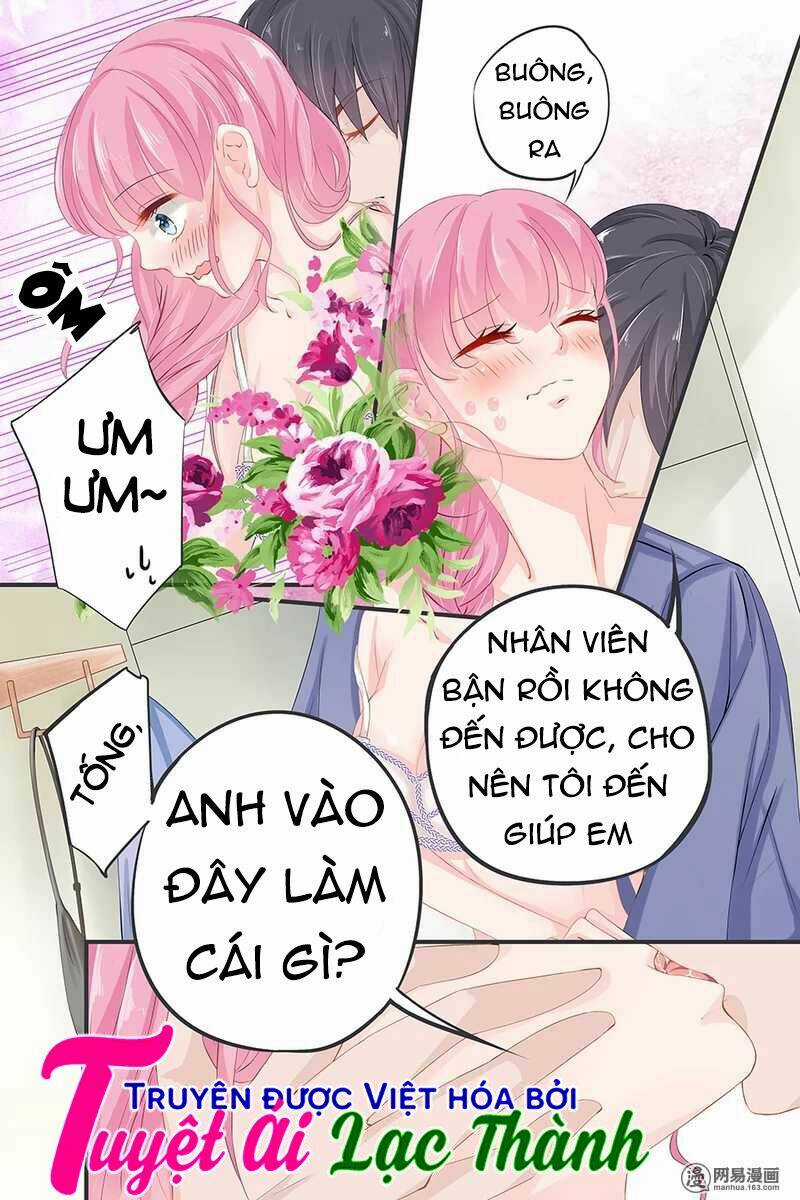 Đế Thiếu Đừng Mạnh Quá Chapter 42 trang 6