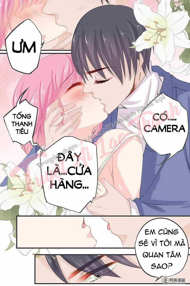 Đế Thiếu Đừng Mạnh Quá Chapter 42 trang 7