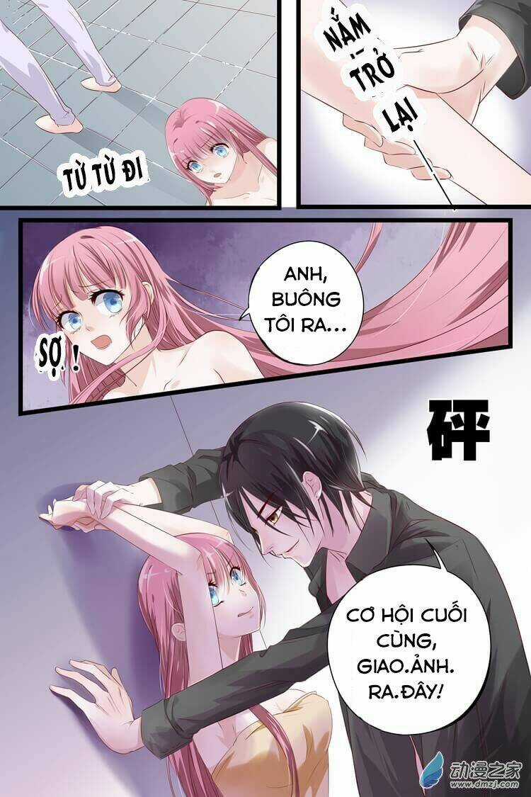 Đế Thiếu Đừng Mạnh Quá Chapter 5 trang 5