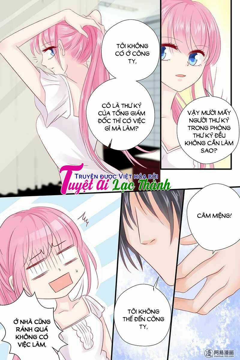 Đế Thiếu Đừng Mạnh Quá Chapter 50 trang 2