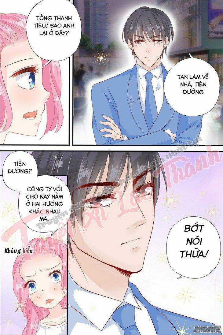 Đế Thiếu Đừng Mạnh Quá Chapter 56 trang 7