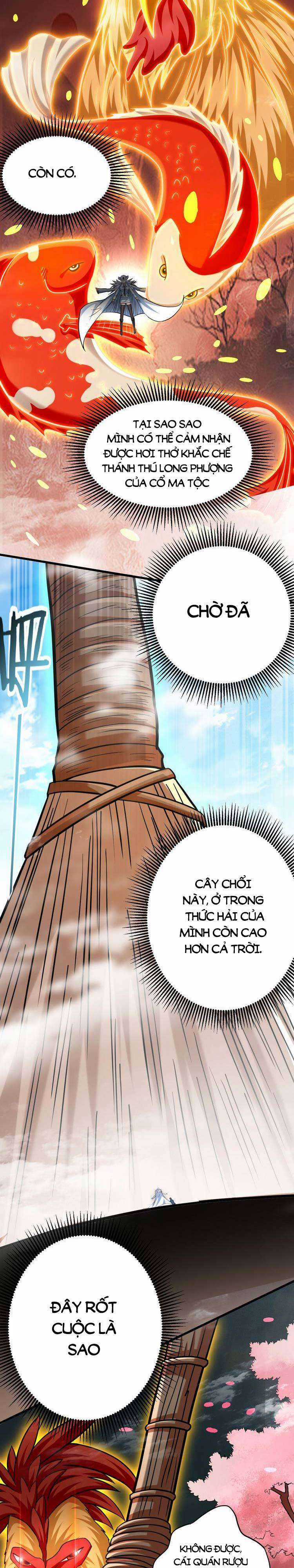 Đệ Tử Của Ta Đều Là Siêu Thần Chapter 164 trang 12