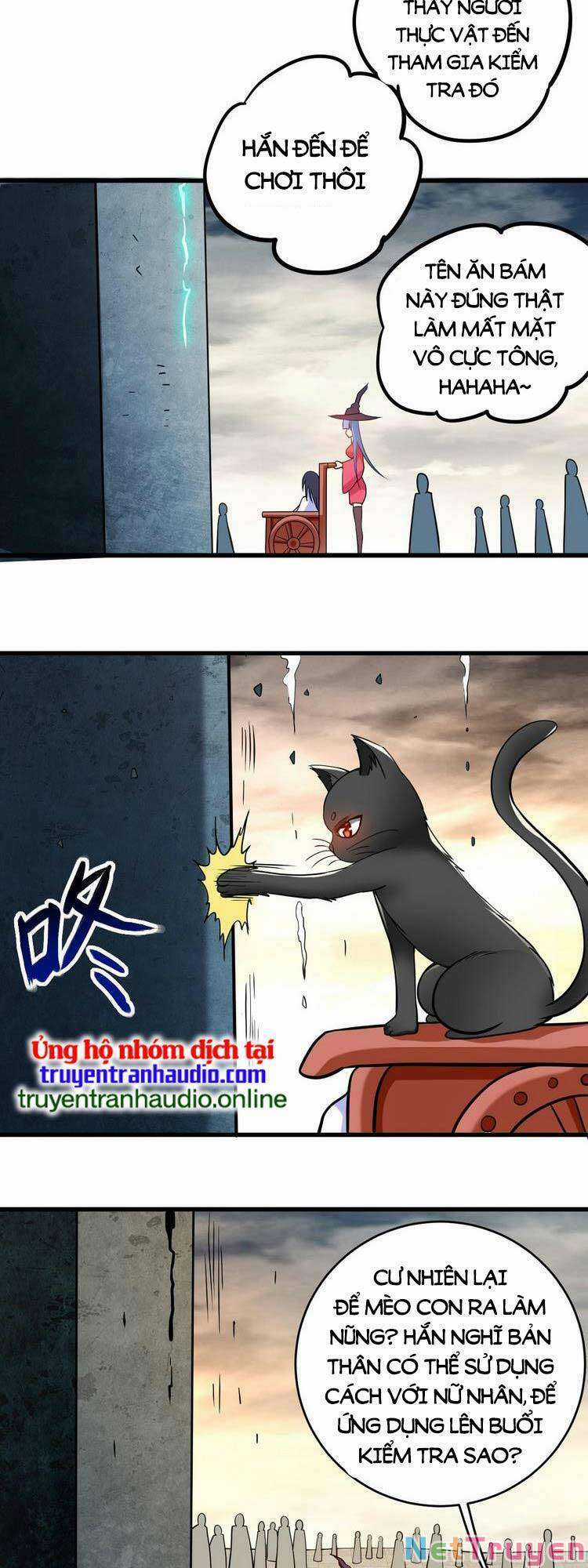 Đệ Tử Của Ta Đều Là Siêu Thần Chapter 185 trang 11