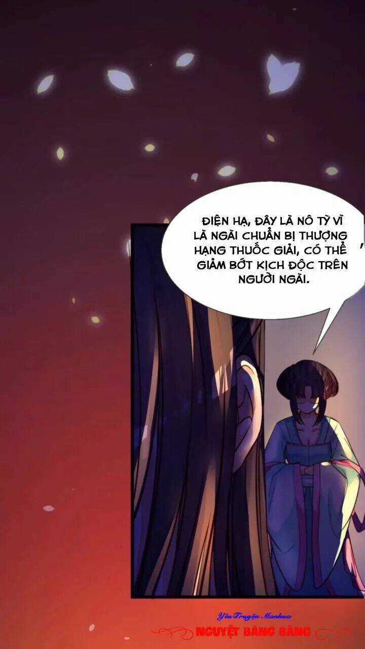 Đế Vương Sợ Vương Phi Muốn Sở Hữu Thiên Hạ Chapter 1 trang 5