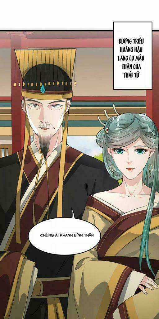 Đế Vương Sợ Vương Phi Muốn Sở Hữu Thiên Hạ Chapter 13 trang 11