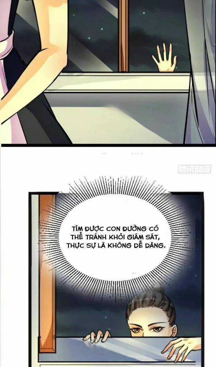 Đế Vương Sợ Vương Phi Muốn Sở Hữu Thiên Hạ Chapter 2 trang 4