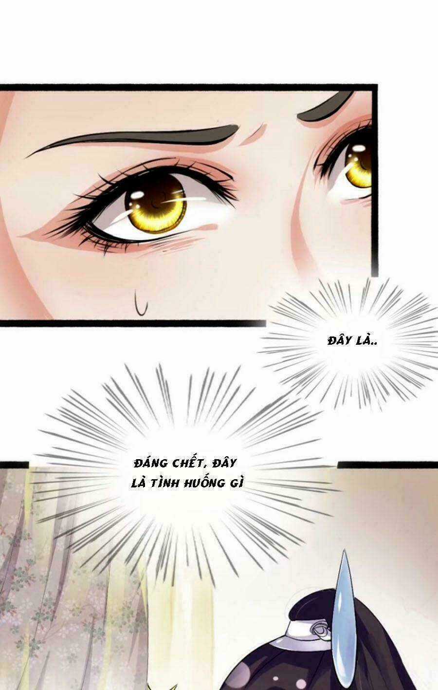 Đế Vương Sợ Vương Phi Muốn Sở Hữu Thiên Hạ Chapter 3 trang 15