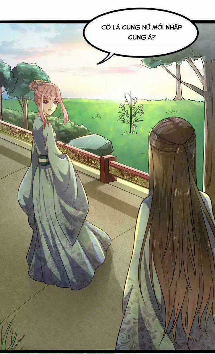 Đế Vương Sợ Vương Phi Muốn Sở Hữu Thiên Hạ Chapter 6 trang 13